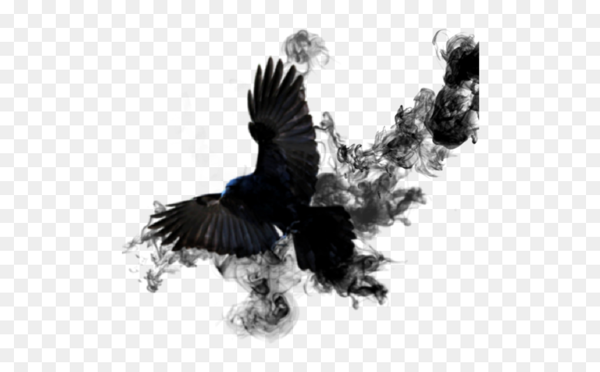 #crow #sticker #smoke #bird #black #wings #feathed, HD Png Download - crow wings png