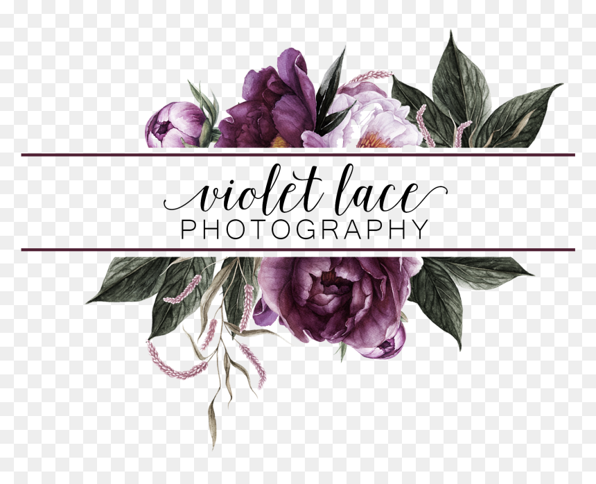 Gilliflower, HD Png Download - purple lace png
