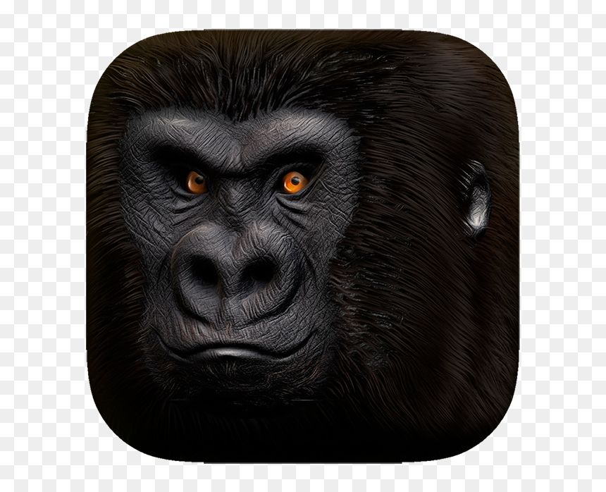 Monkey, HD Png Download - gorilla head png