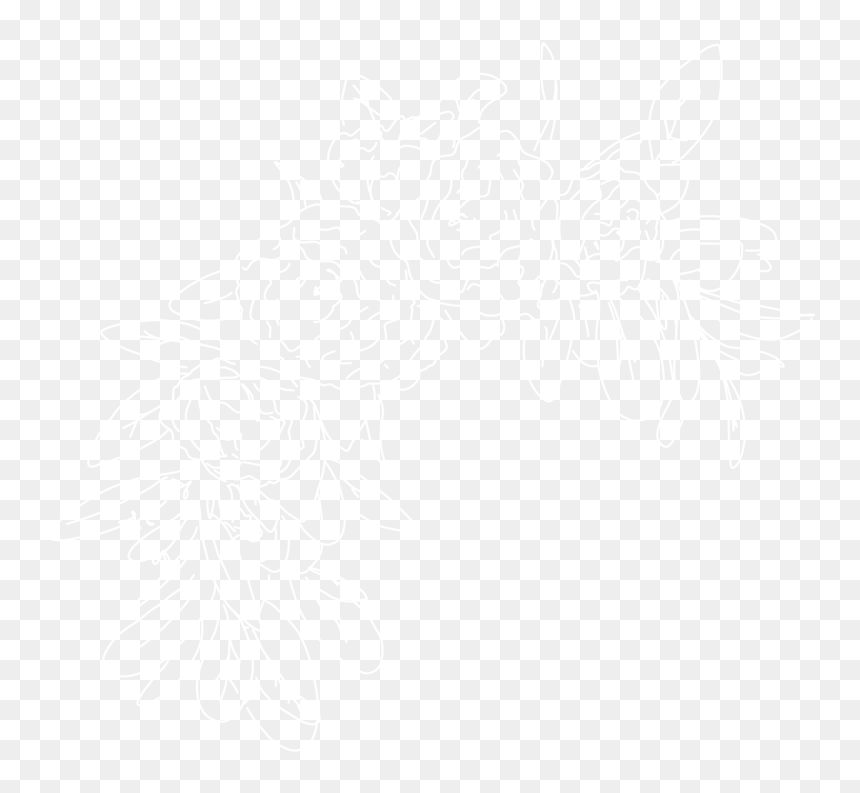 Johns Hopkins Logo White, HD Png Download - photobooth birds png