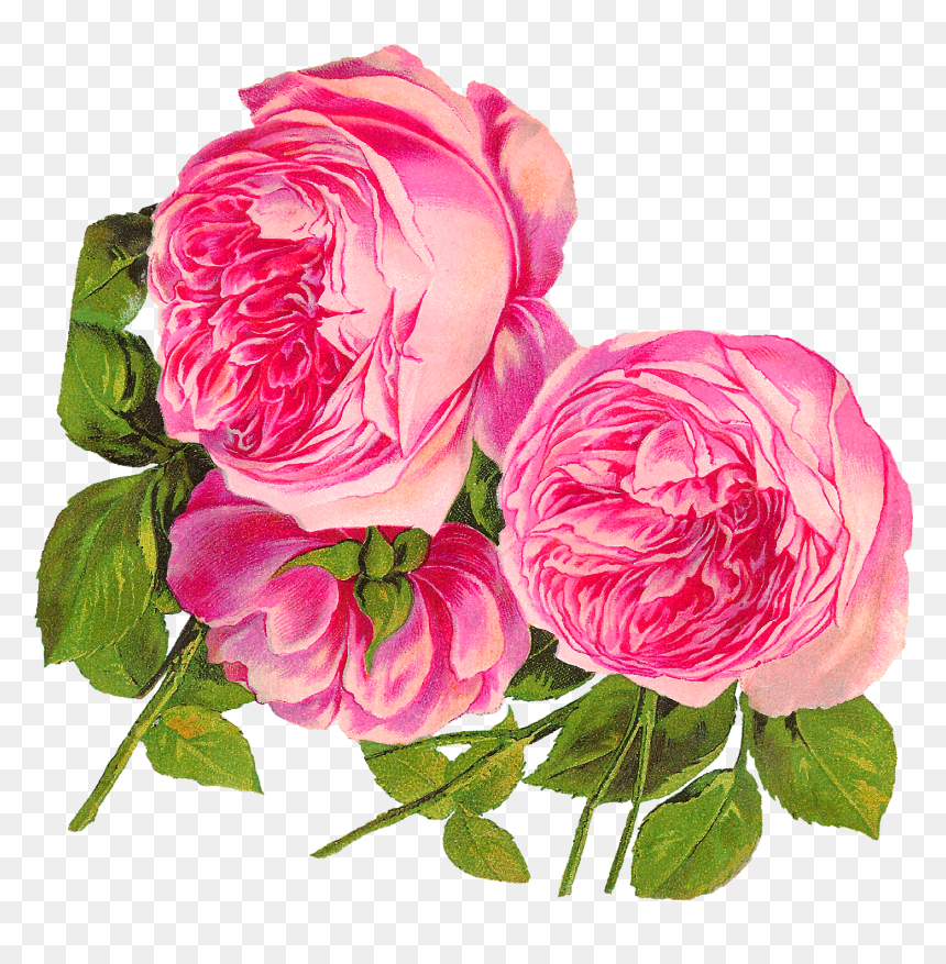 Transparent Rose Art Png - Digital Pink Png Flowers, Png Download - rose art png