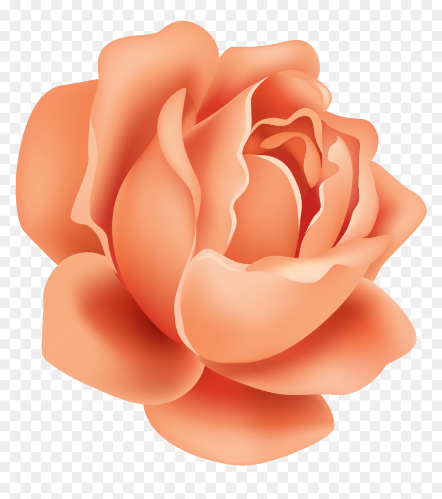 Garden Roses, HD Png Download - rose art png