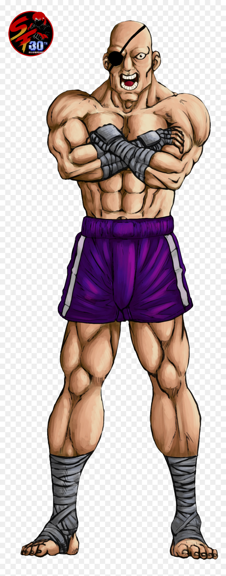 Sagat Street Fighter, HD Png Download - sagat png