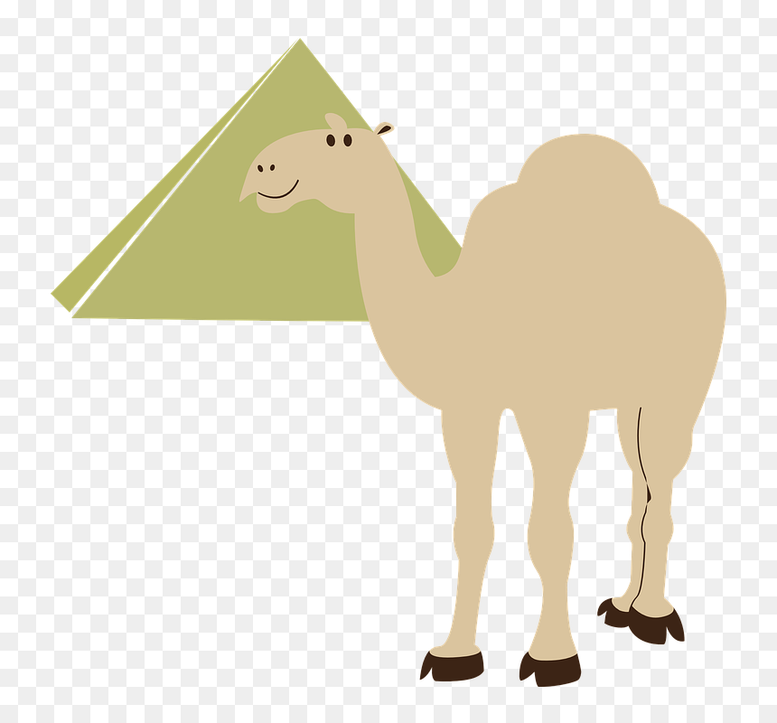 Camel Clipart Transparent Background, HD Png Download - pyramid vector png