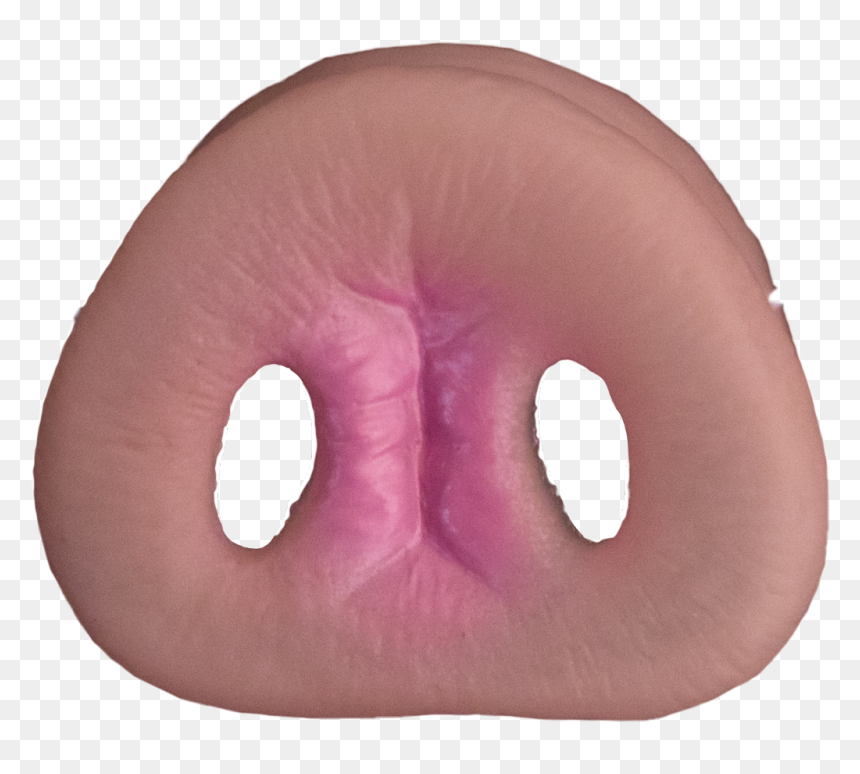 #pignose #pig #snout #nose #freetoedit - Pillow, HD Png Download - pig snout png