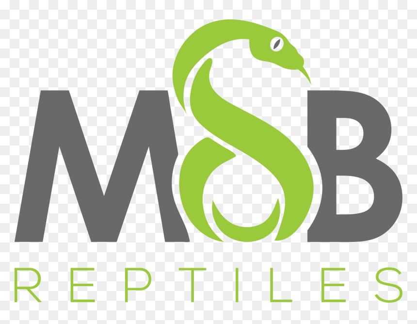 Msb Reptiles - Graphic Design, HD Png Download - snake scales png