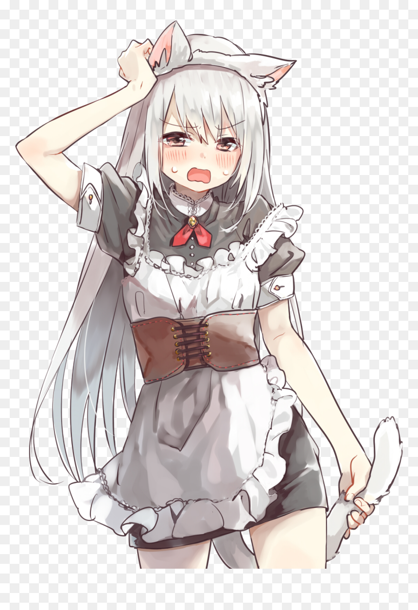 Background - Cat Girl In Apron, HD Png Download - sena kashiwazaki png