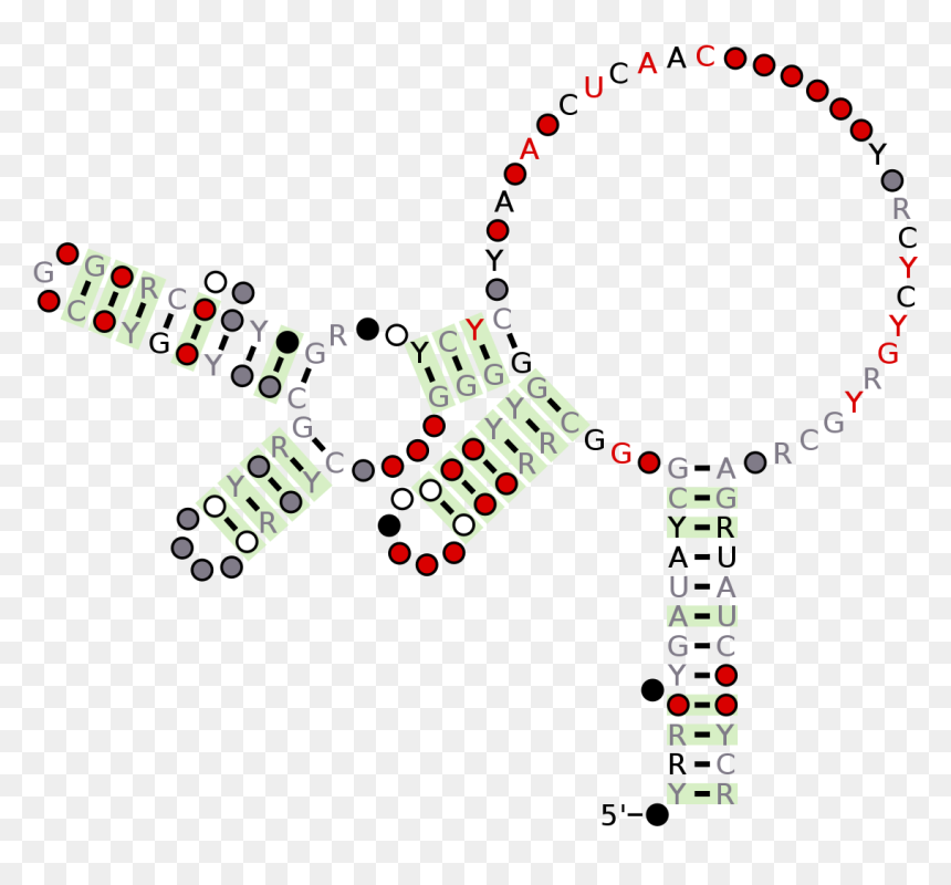 Circle, HD Png Download - motif png