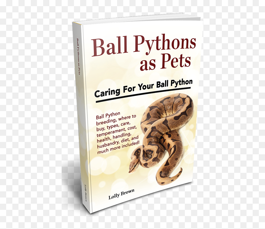, Ball Pythons Landing, Ball Pythons As Pets - Boa Constrictor, HD Png Download - ball python png