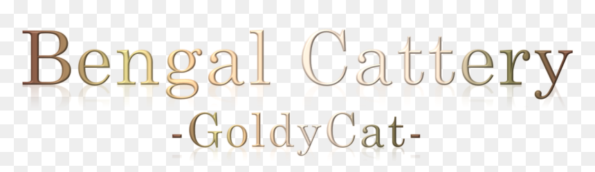 / - Calligraphy, HD Png Download - tyrael png