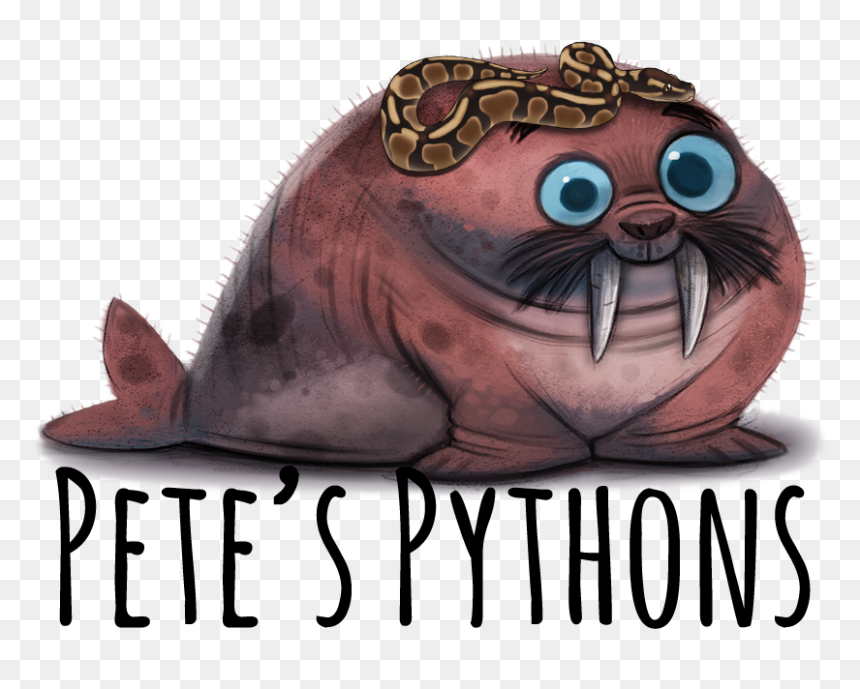 Cute Walrus Art, HD Png Download - ball python png