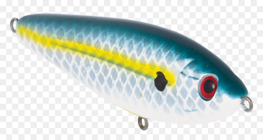 Transparent School Fish Png - Wrasses, Png Download - sardine png