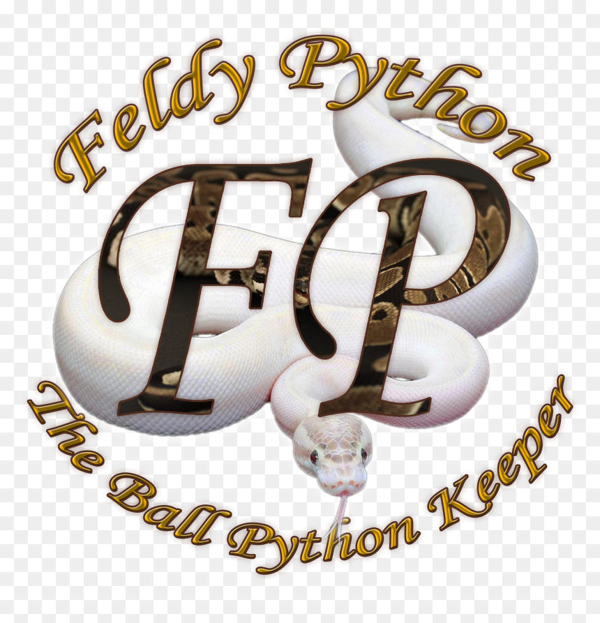 Feldytransparant2 - Calligraphy, HD Png Download - ball python png
