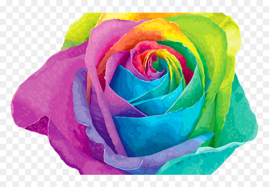 Pin By Carol Marie Littlejohn On Photo Roll Pinterest - Rainbow Flower Png, Transparent Png - rainbow rose png