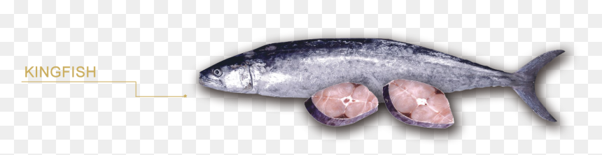 Forever Frozen - Sardine, HD Png Download - sardine png