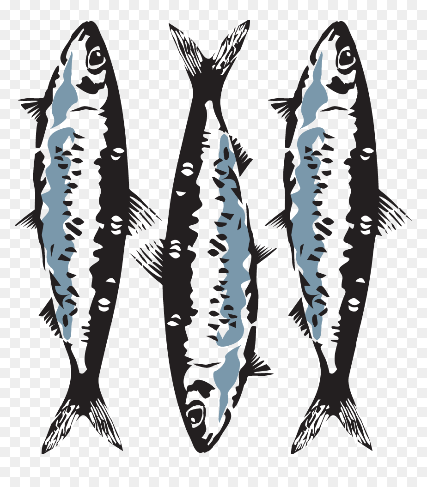 Sardine - Marine Mammal, HD Png Download - sardine png