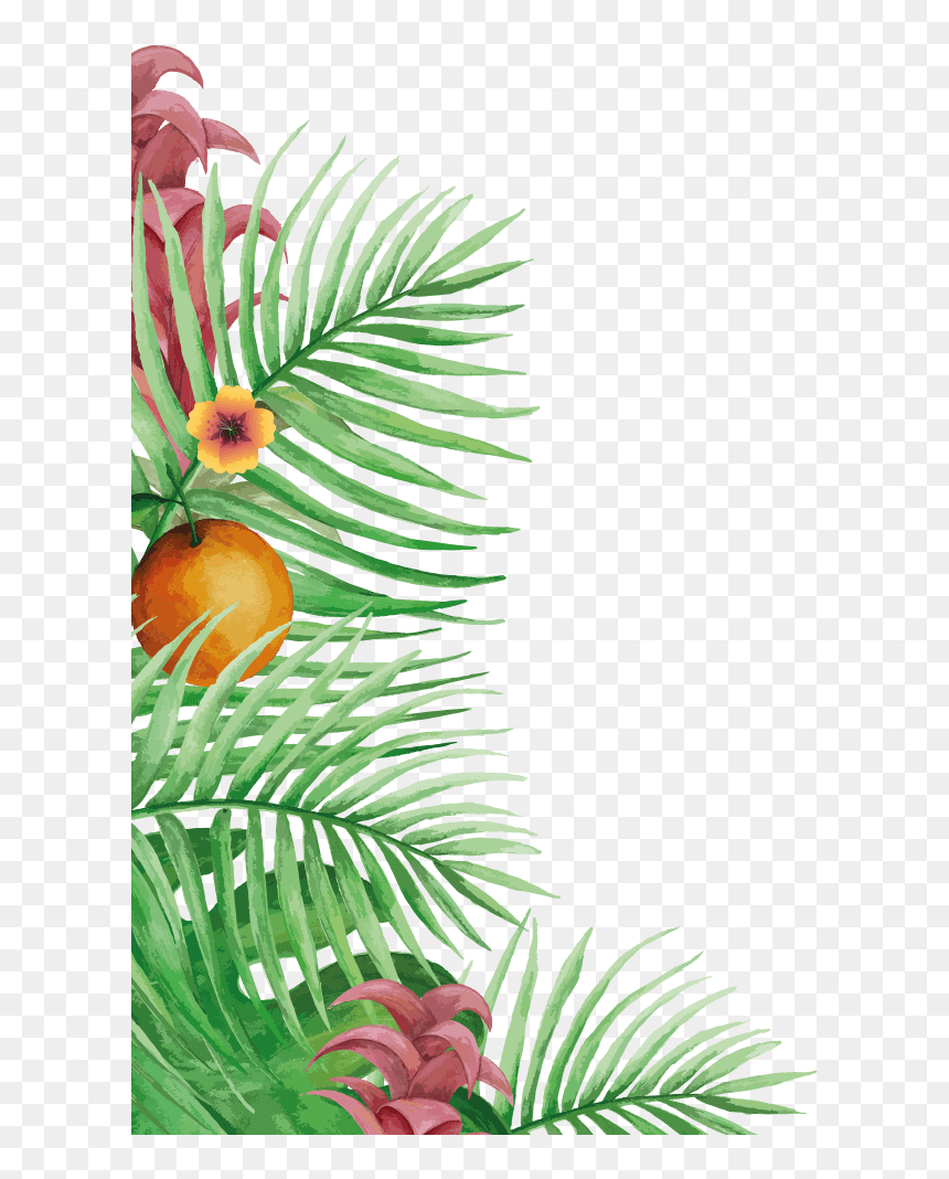Canopy Logo Warwick Su , Transparent Cartoons - Canopy Logo Warwick Su, HD Png Download - corona dorada png