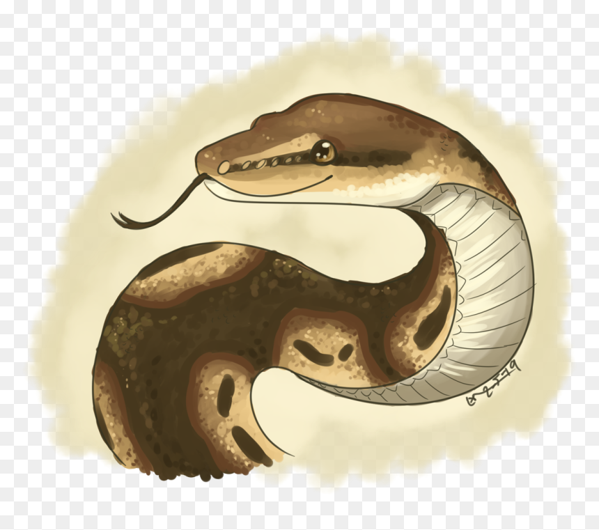 Snake Commissions, HD Png Download - ball python png