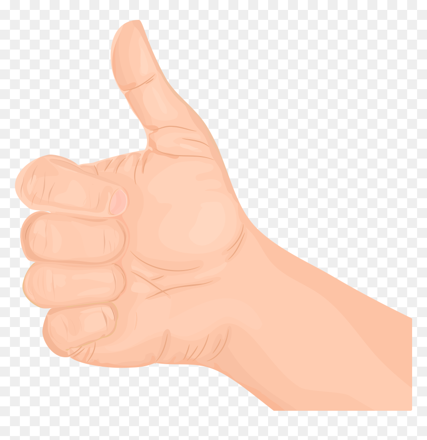 Thumb Hand Model Nail, HD Png Download - nail art png