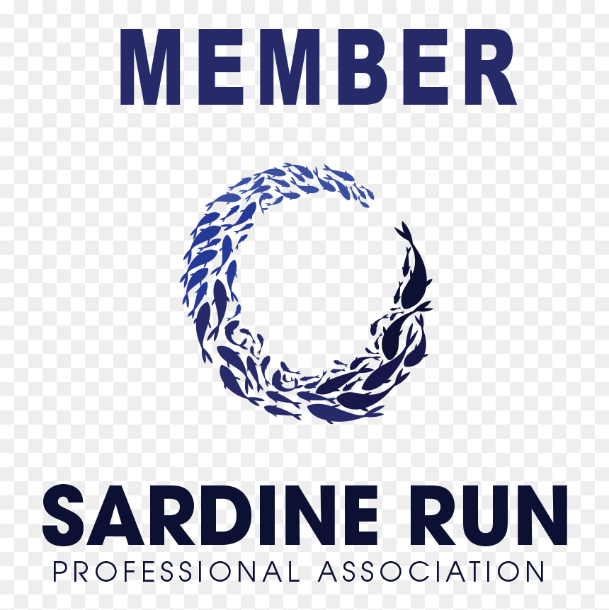 Poster, HD Png Download - sardine png
