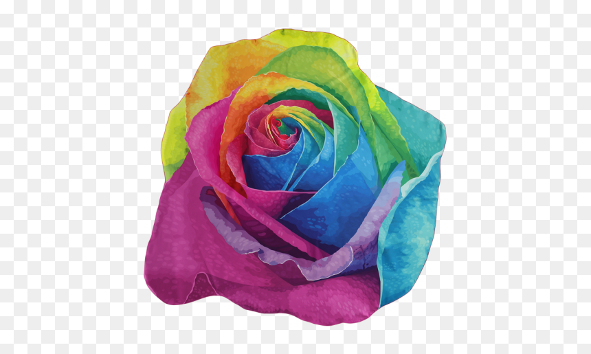 Rainbow Rose, HD Png Download - rainbow rose png