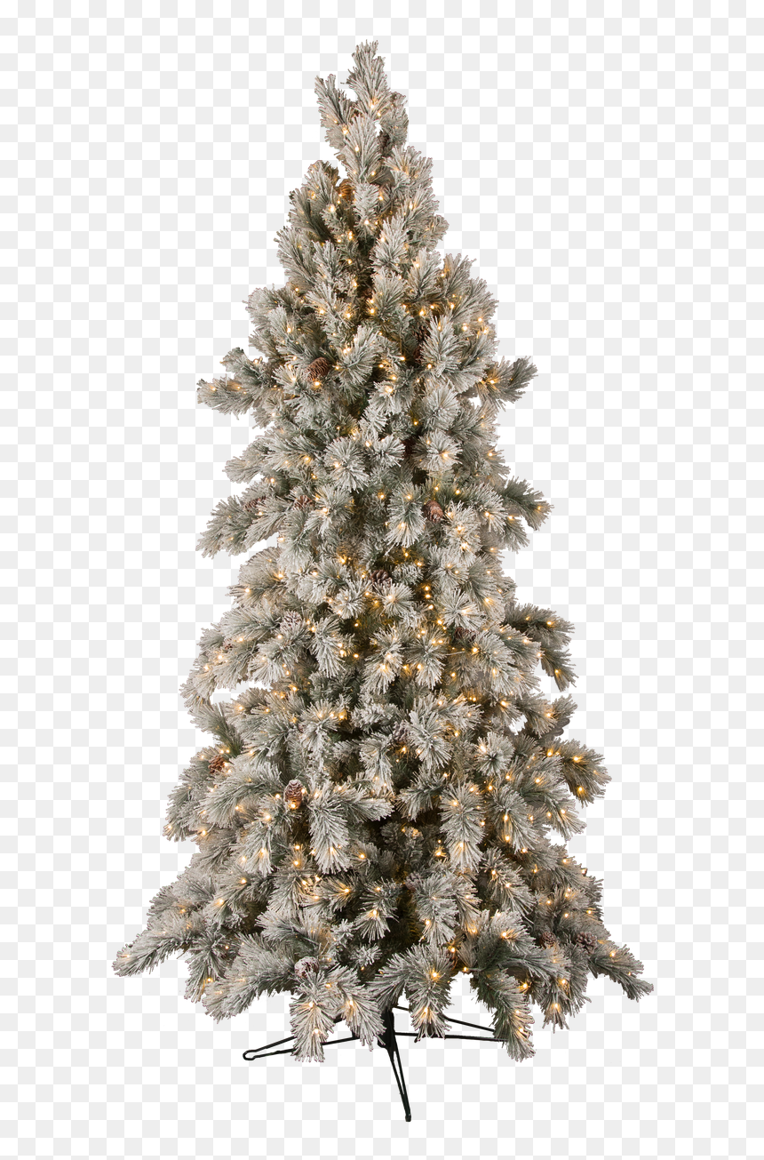 12 - Tree, HD Png Download - snow pine tree png