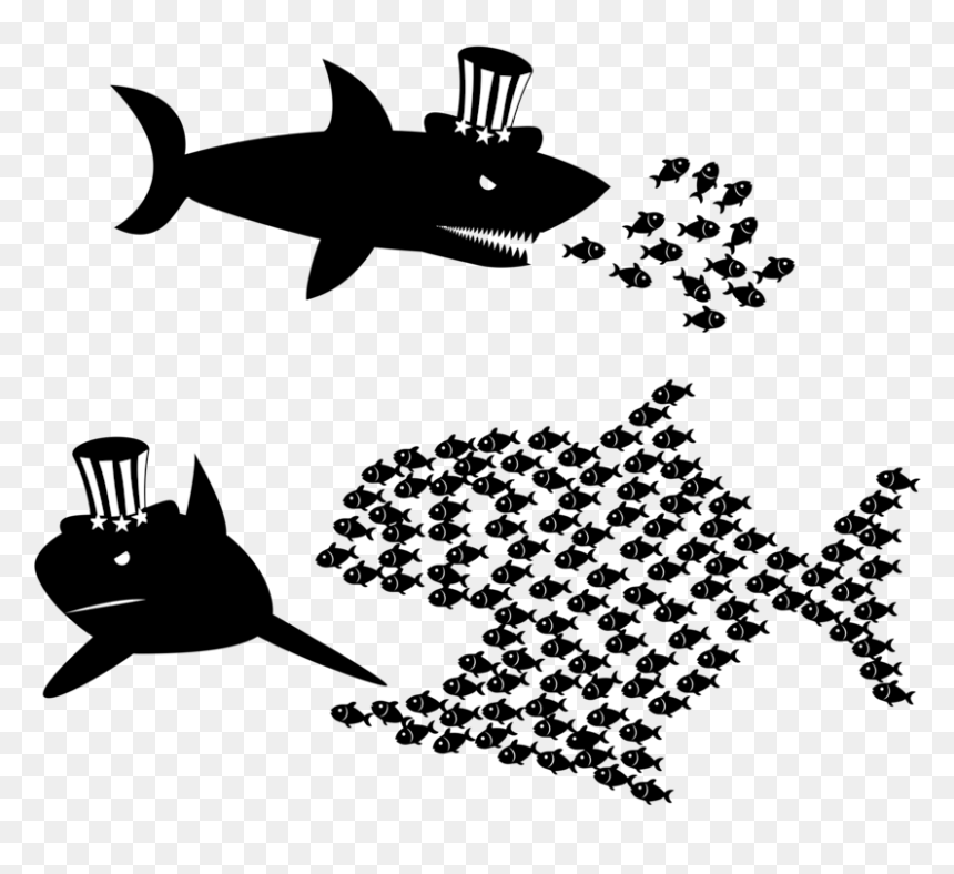 Shark,stencil,silhouette, HD Png Download - organize png