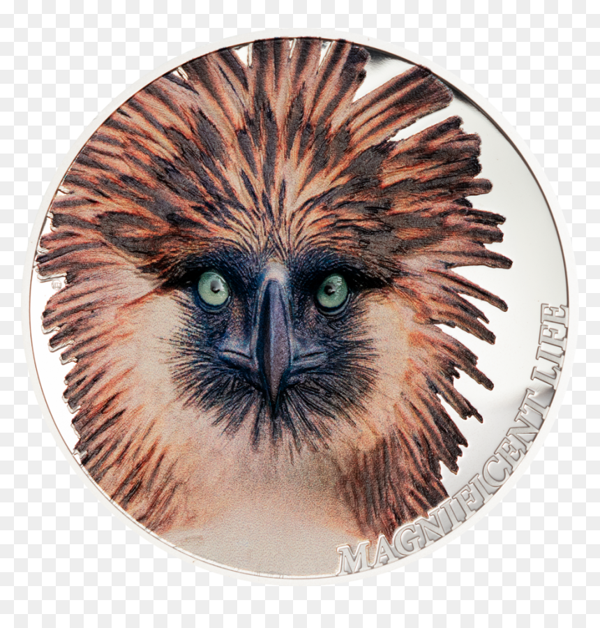 Philippine Eagle Magnificent Life 1 Oz Silver Coin, HD Png Download - eagle face png