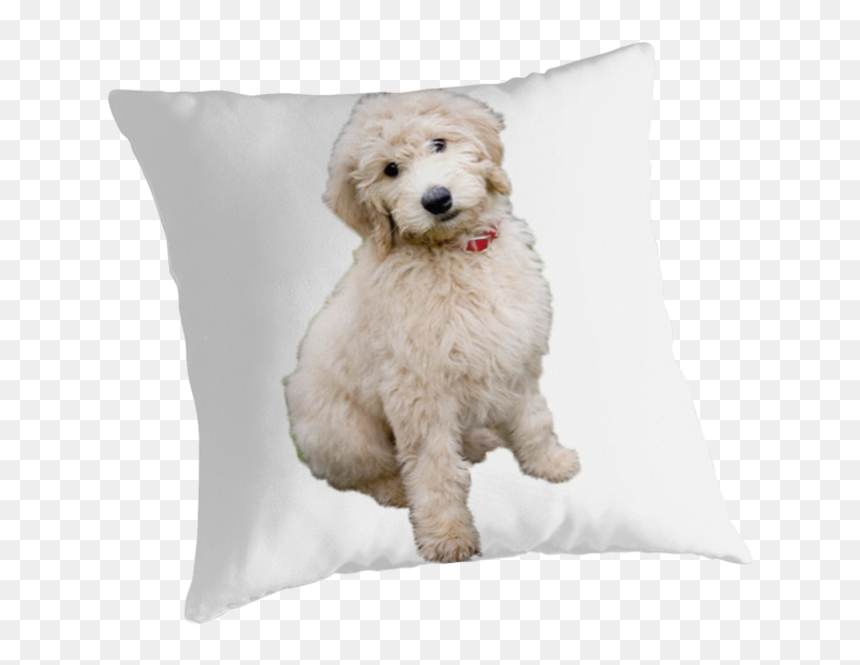 Faze Clan, HD Png Download - goldendoodle png