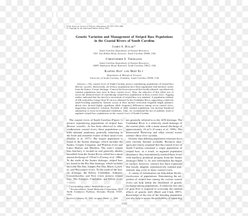Untitled, Illustration 14, In The Book Foirades / Fizzles, HD Png Download - striped bass png