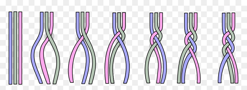 Braiding A-technique - Braiding Technique, HD Png Download - hair braid png