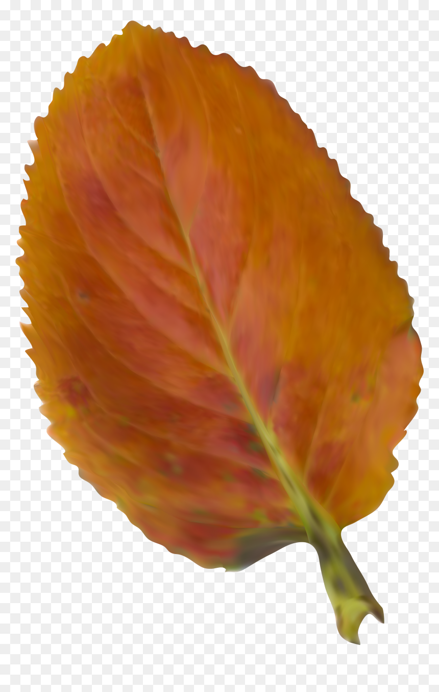 Beautiful Picture Leaf Color Nissan Autumn 2018 Clipart - Nissan, HD Png Download - nissan leaf png