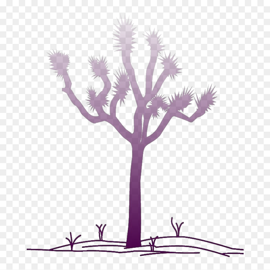 Illustration, HD Png Download - mesquite tree png