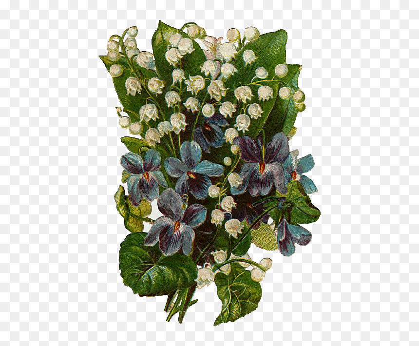 Delicate Lily Of The Valley, Bank Xavier Berry, Gt - Lily Of The Valley, HD Png Download - lily of the valley png