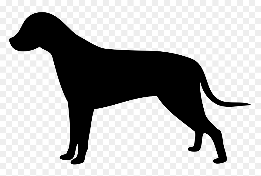 Labrador Retriever English Mastiff Clip Art Openclipart - Dog Full Body Clip Art, HD Png Download - mastiff png