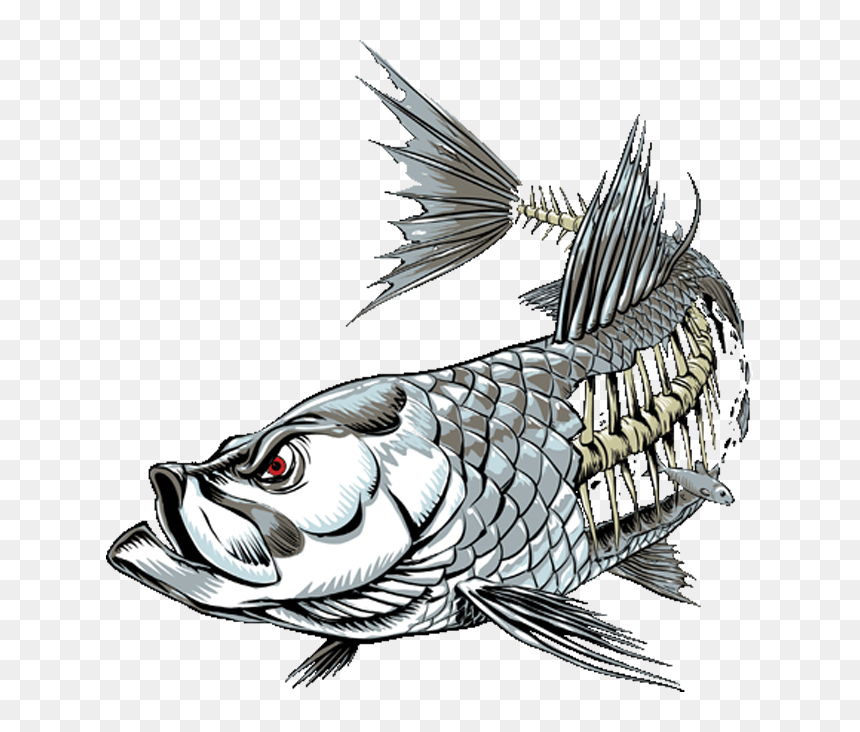 Imagenes Fish Skinz Decais, HD Png Download - cartoon skeleton png