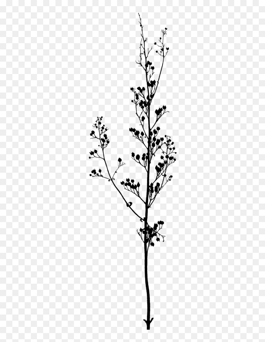 Twig Branch A Buddhist Spectrum Tree - Transparent Black And White Flowers, HD Png Download - flower branch png