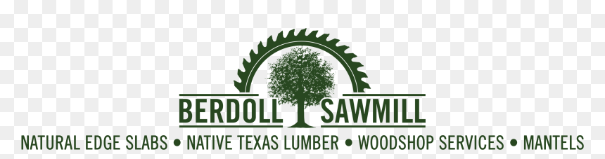Tree, HD Png Download - mesquite tree png