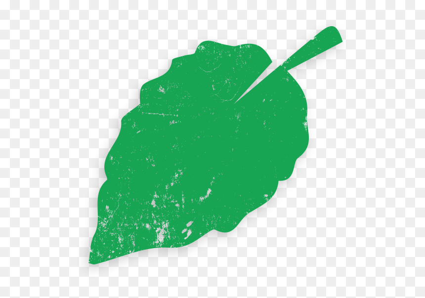 Original Icon Created By Amos Kofi From The Noun Project - Illustration, HD Png Download - mesquite tree png