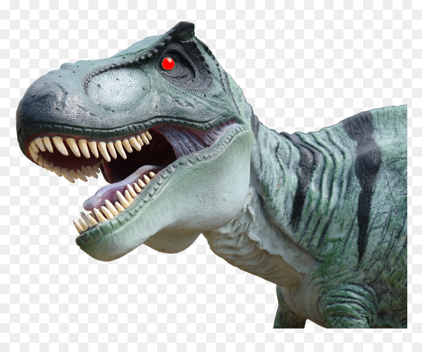 Dragon Teeth Png, Transparent Png - gold tooth png