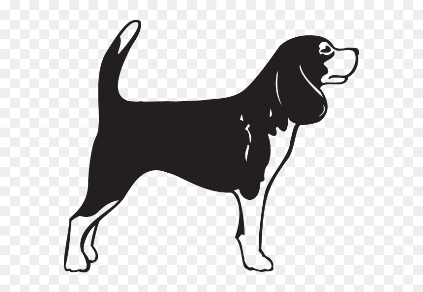 Beagle German Shorthaired Pointer Bullmastiff English - Beagle Clipart Black And White, HD Png Download - mastiff png
