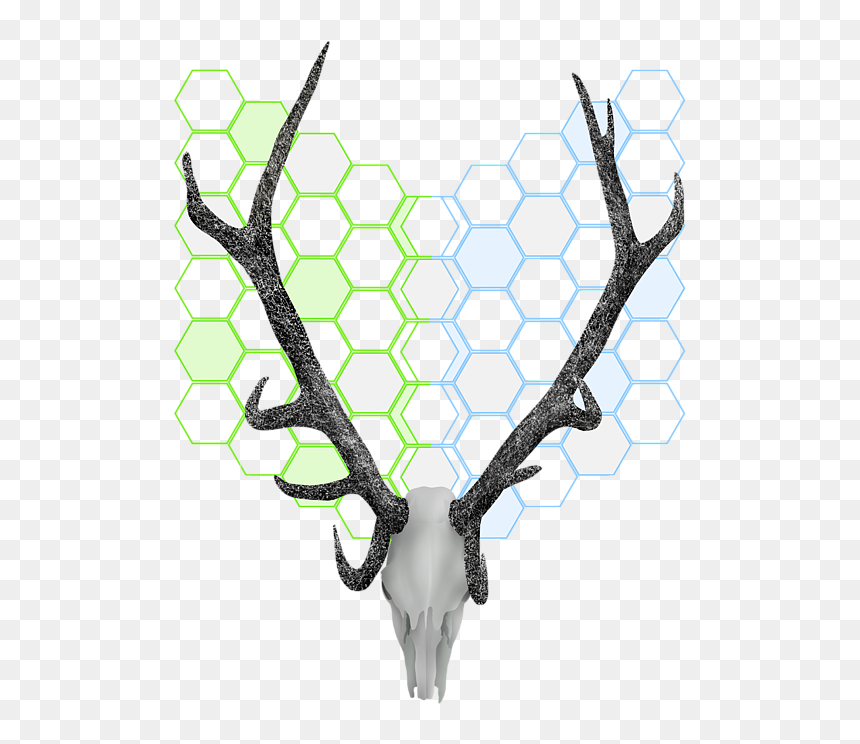 Transparent Library Honeycomb Pattern Kids T - Transparent Background Reindeer Antler Clipart, HD Png Download - honeycomb background png