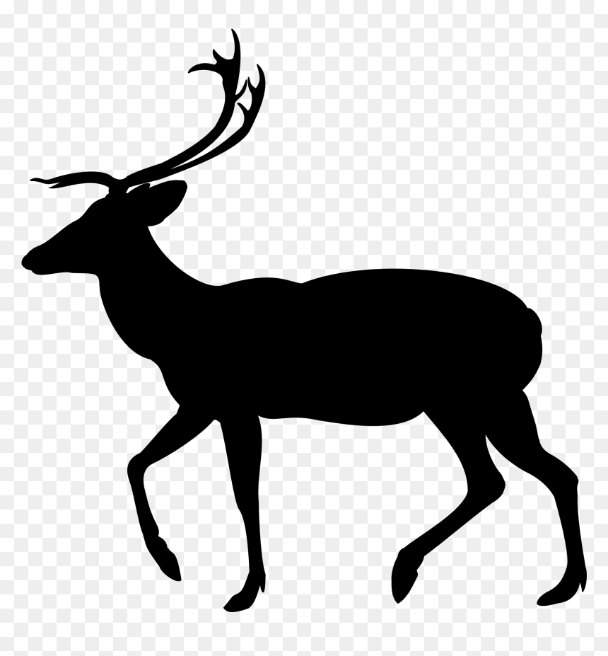Clip Art White-tailed Deer Silhouette Moose - Antelope Clipart, HD Png Download - white tailed deer png