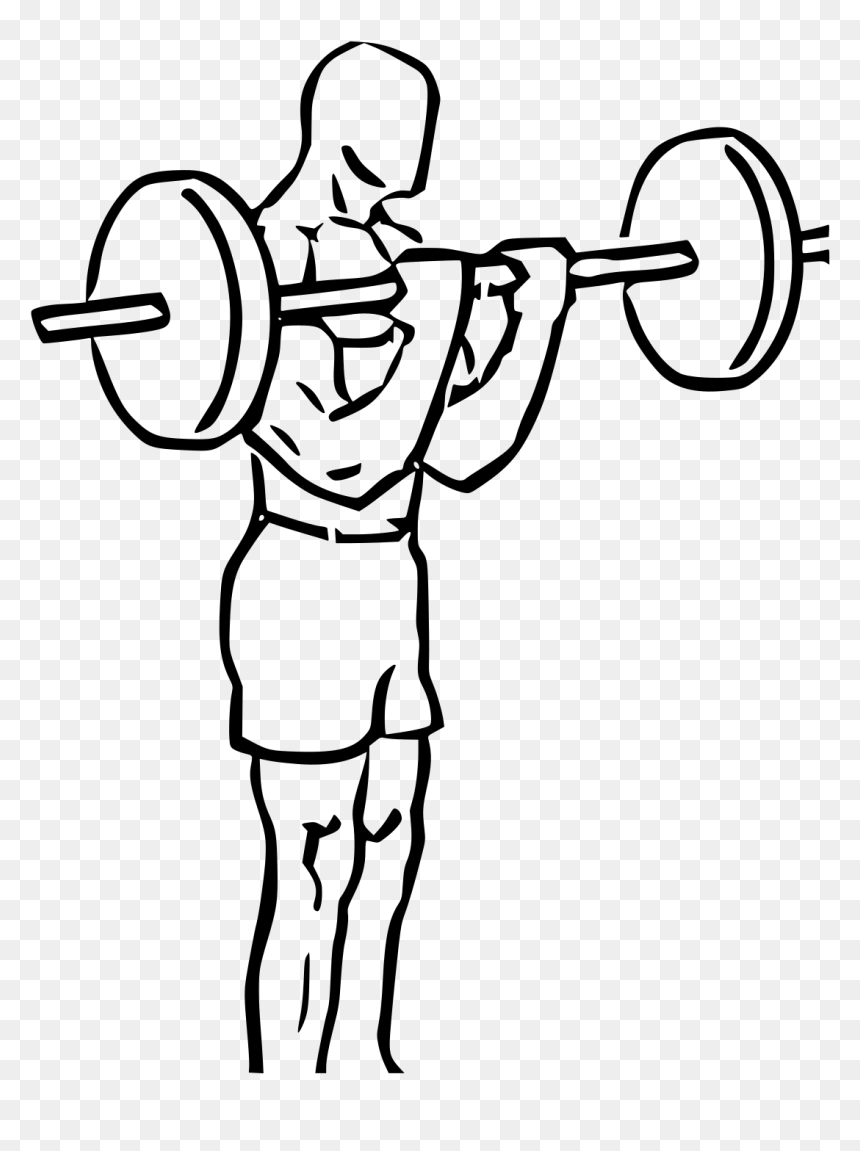 Bicep Curl Vector, HD Png Download - barbell png