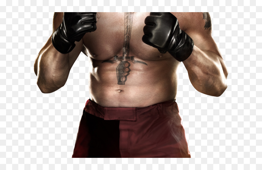 Brock Lesnar Wwe 2k14, HD Png Download - brock lesnar png