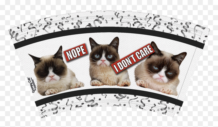 Balinese, HD Png Download - grumpy cat png