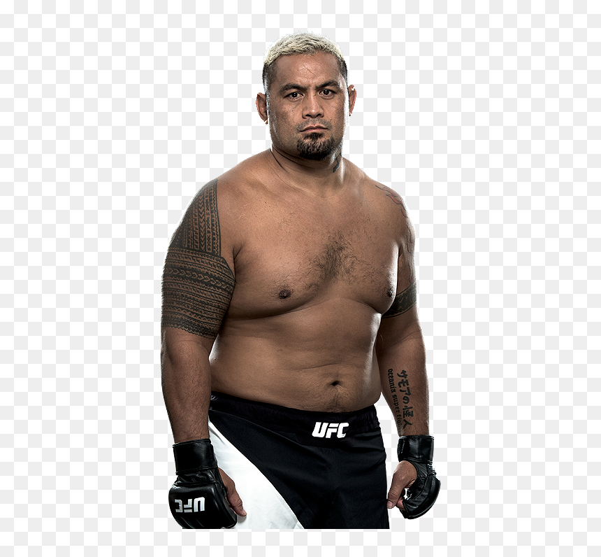 Cricketers With Best Physique, HD Png Download - brock lesnar png