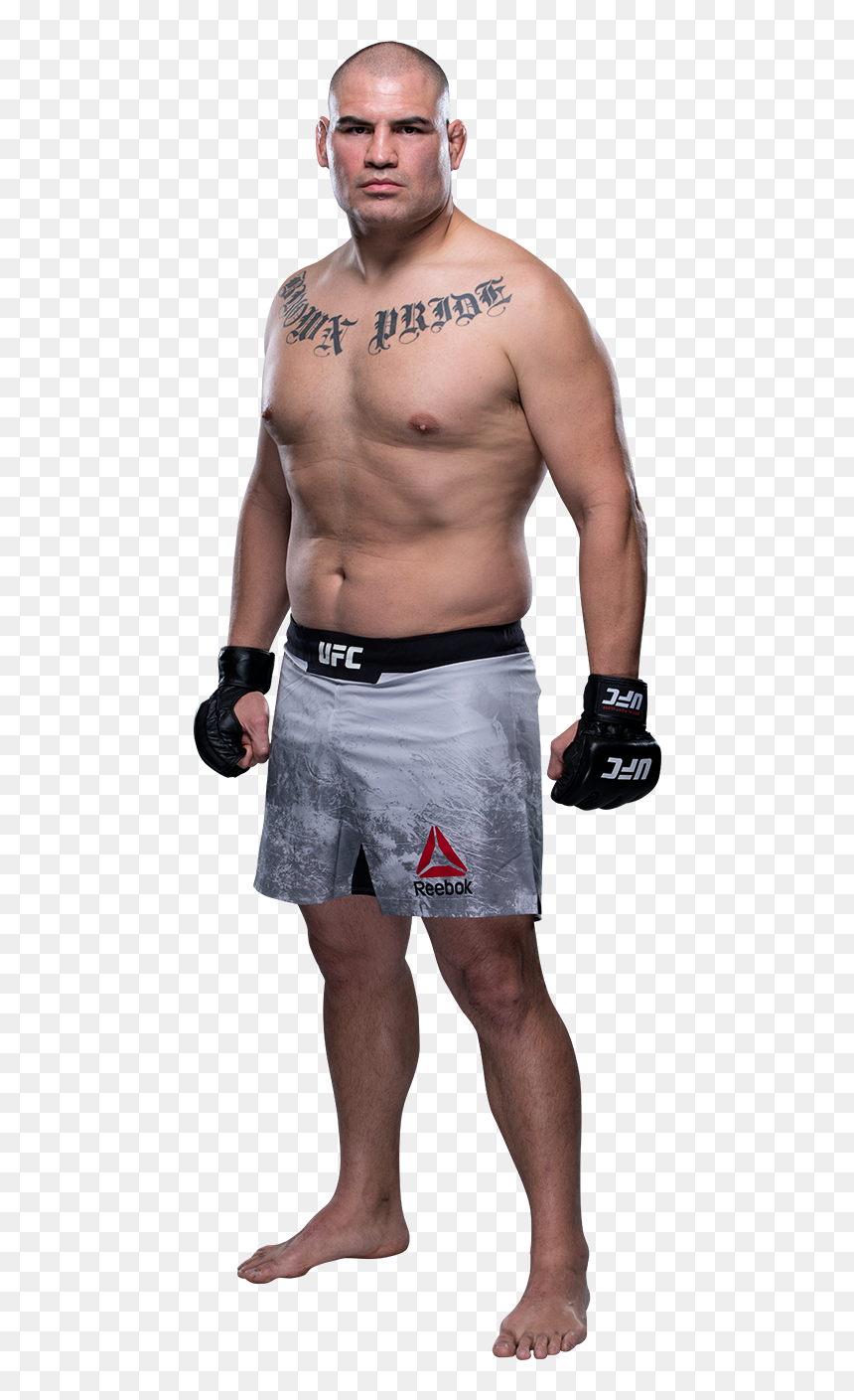 Velasquez Vs Ngannou Video, HD Png Download - brock lesnar png