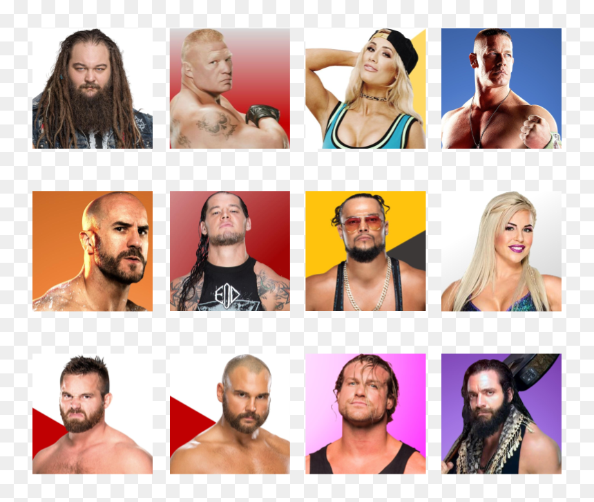 Barechested, HD Png Download - brock lesnar png