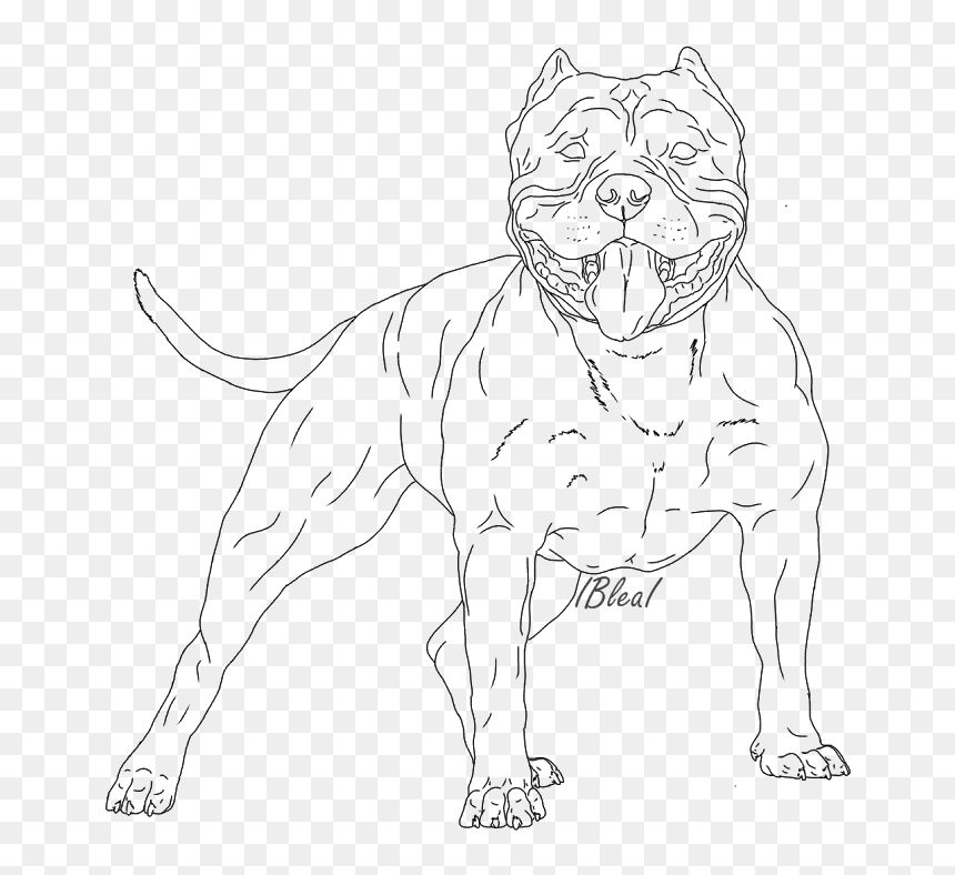 Line Art, HD Png Download - pitbull png